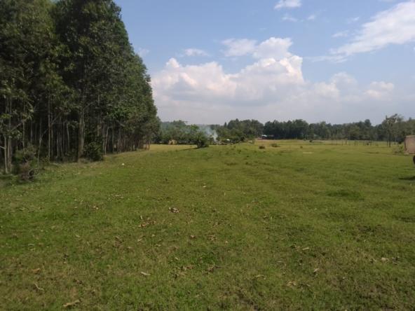 Land for sale in Bungoma's Kanduyi