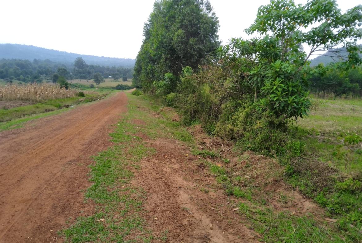land for sale in Bungoma's Kibabii