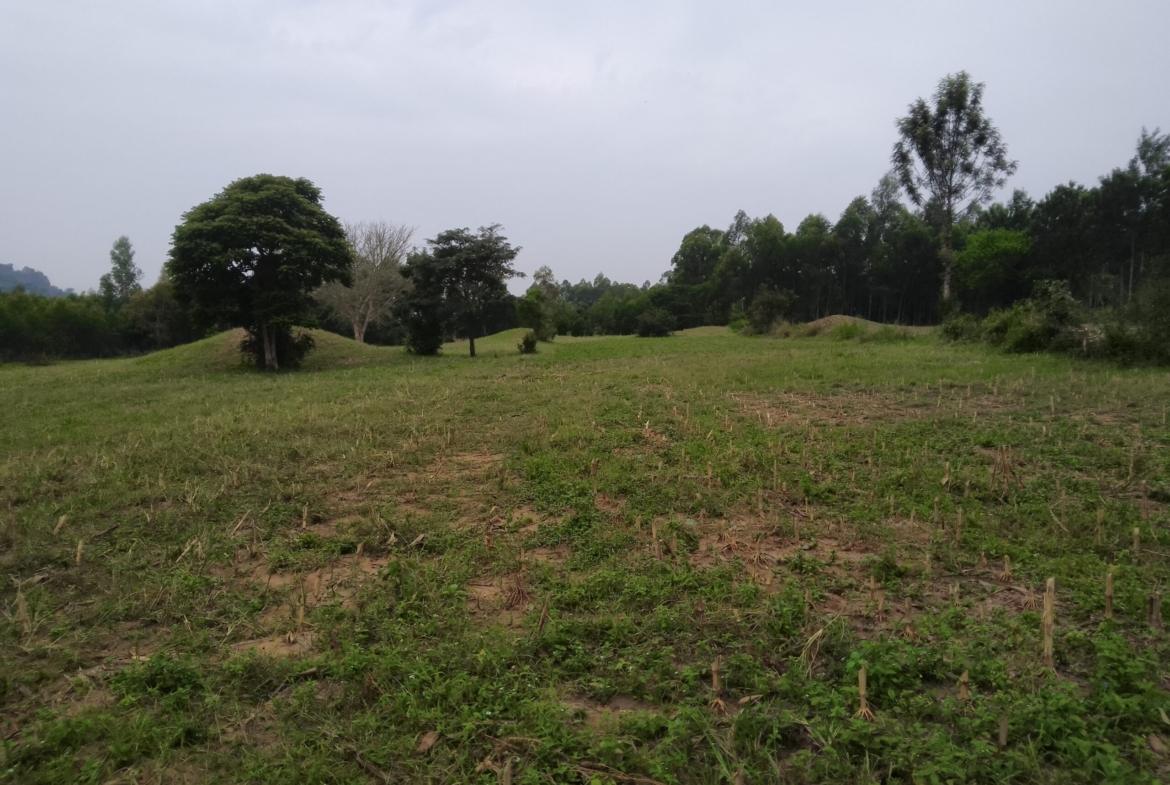 Land for sale in Bungoma's Kibabii