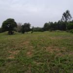 Land for sale in Bungoma's Kibabii