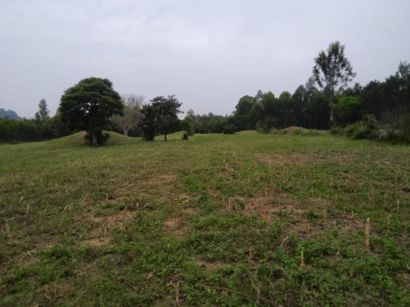 Land for sale in Bungoma's Kibabii
