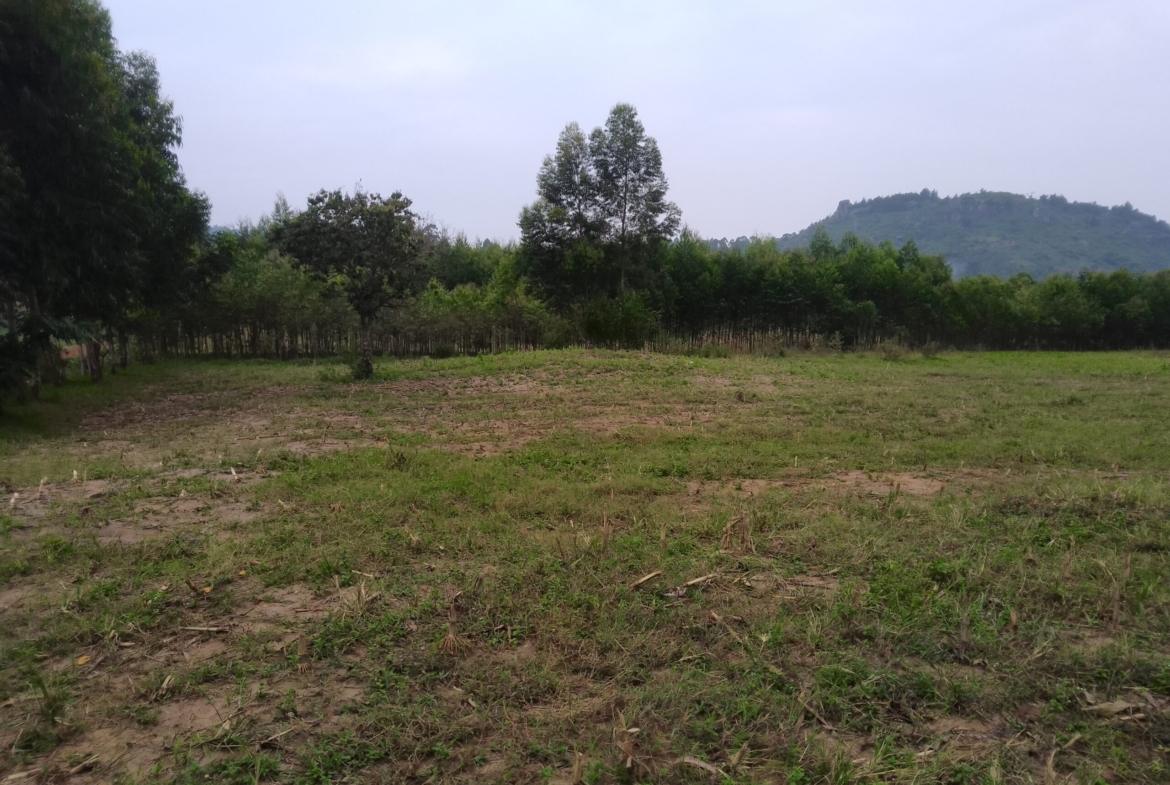Land for sale in Bungoma's Kibabii