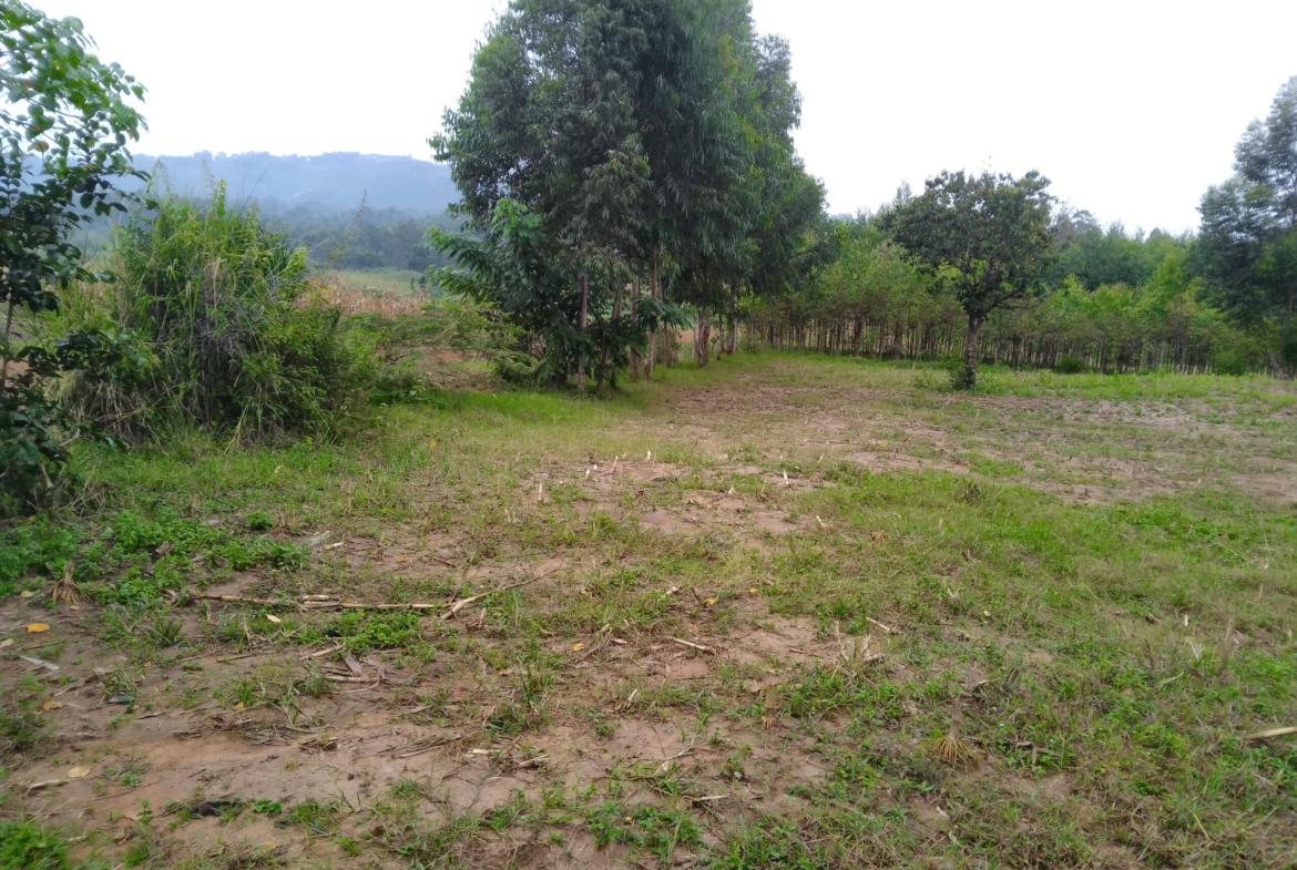 Land for sale in Bungoma's Kibabii