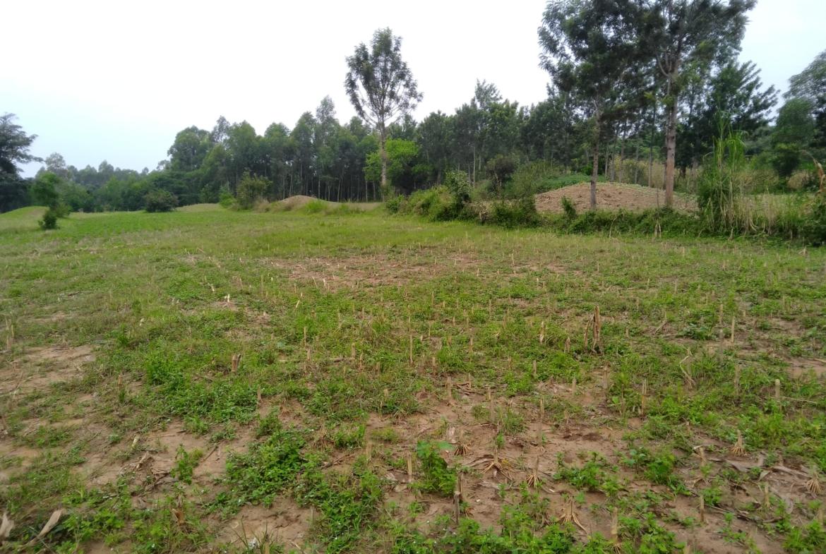 Land for sale in Bungoma's Kibabii