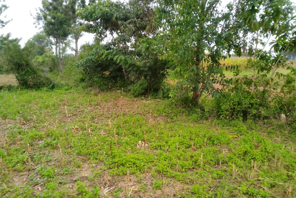 Land for sale in Bungoma's Kibabii