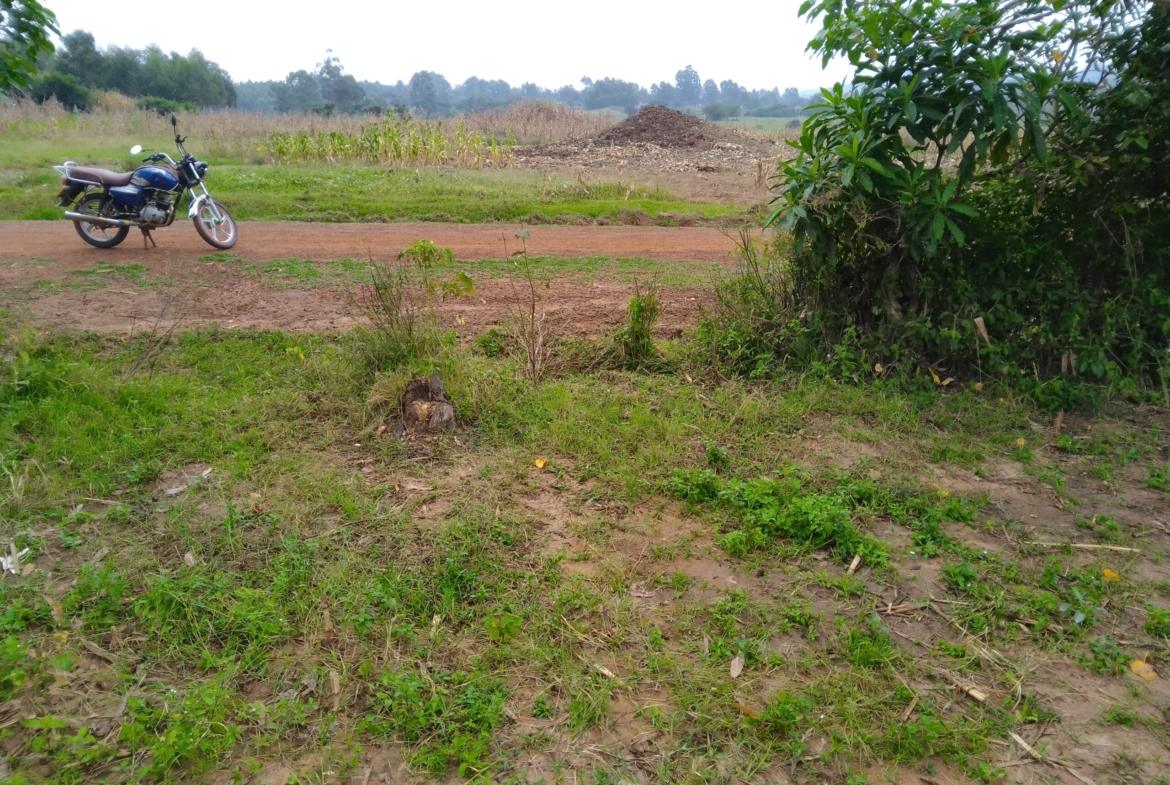 Land for sale in Bungoma's Kibabii