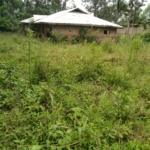 Land for sale in Bungoma's Maliki