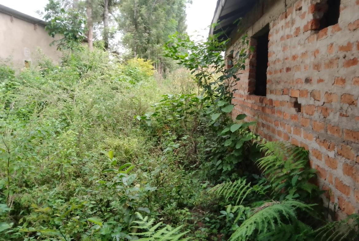 Land for sale in Bungoma's Maliki