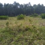 Plots for sale in Bungoma