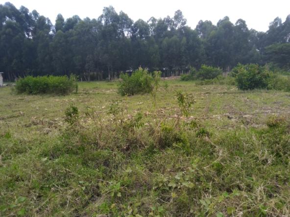 Plots for sale in Bungoma