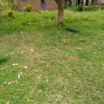 Plot for sale in Bungoma's Khalaba