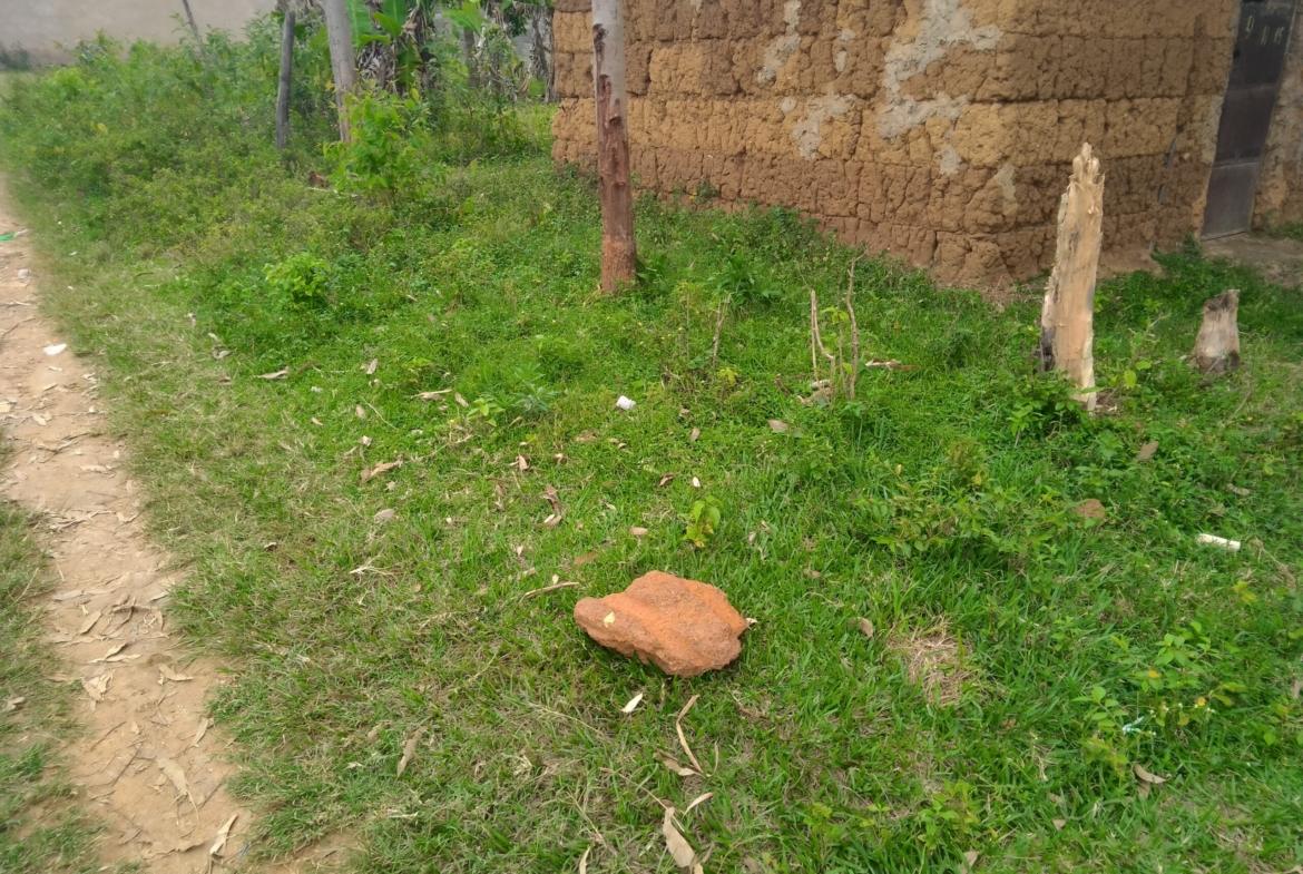 Plot for sale in Bungoma's Khalaba