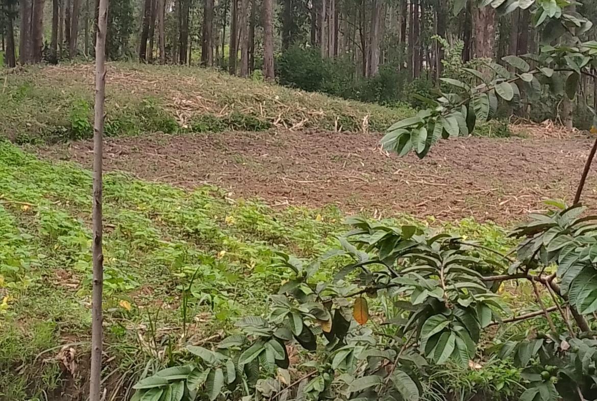 Plots for sale in Bungoma's Kanduyi