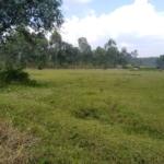 Plots for sale in Bungoma's Kanduyi