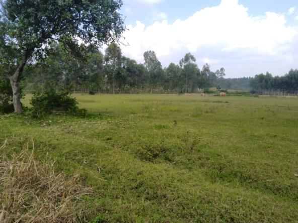 Plots for sale in Bungoma's Kanduyi