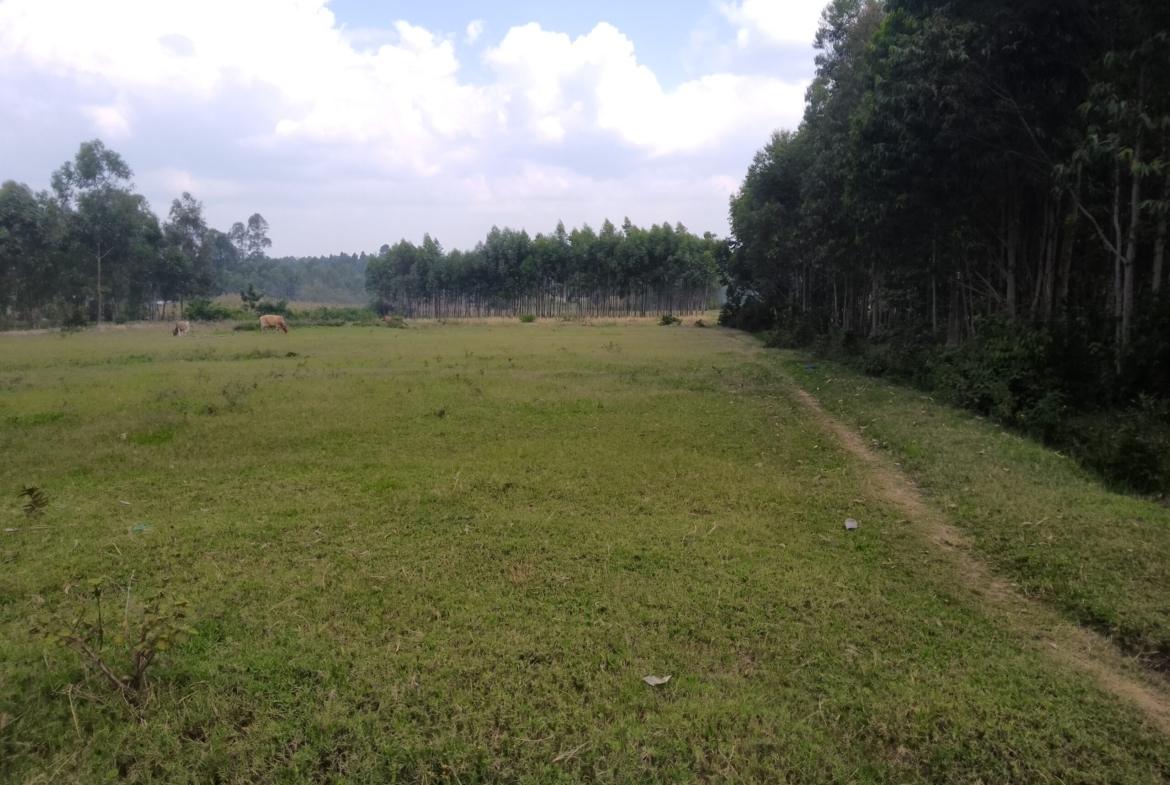 Plots for sale in Bungoma's Kanduyi