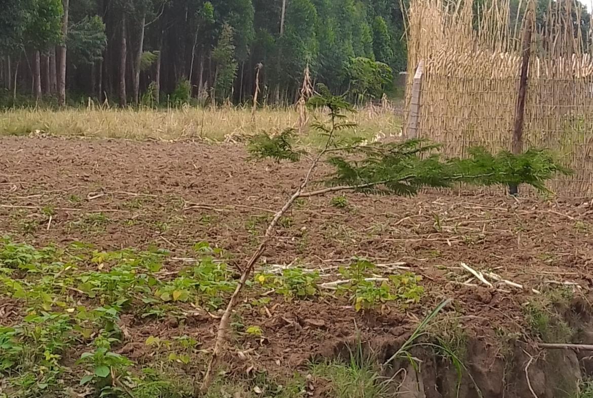 Plots for sale in Bungoma's Kanduyi