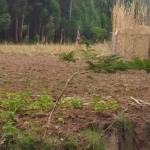 Plots for sale in Bungoma's Kanduyi