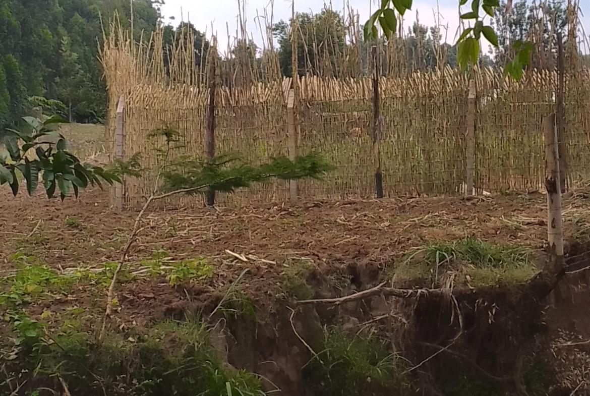 Plots for sale in Bungoma's Kanduyi