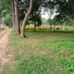 Plots for sale in Bungoma's Khalaba
