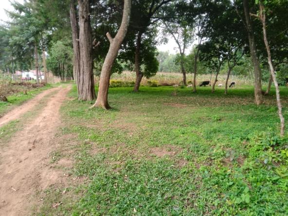 Plots for sale in Bungoma's Khalaba