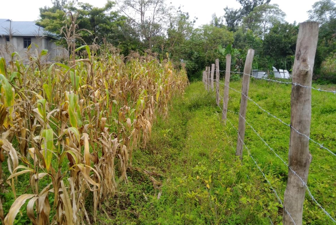Plots for sale in Bungoma's Makutano