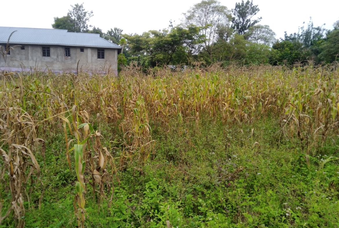 Plots for sale in Bungoma's Makutano