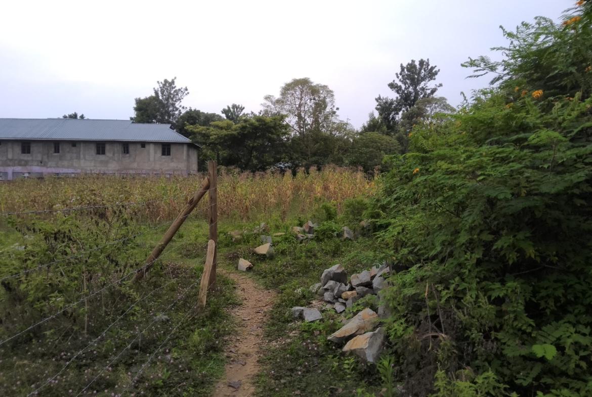 Plots for sale in Bungoma's Makutano