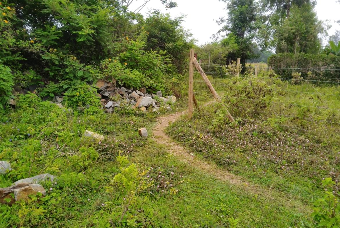 Plots for sale in Bungoma's Makutano