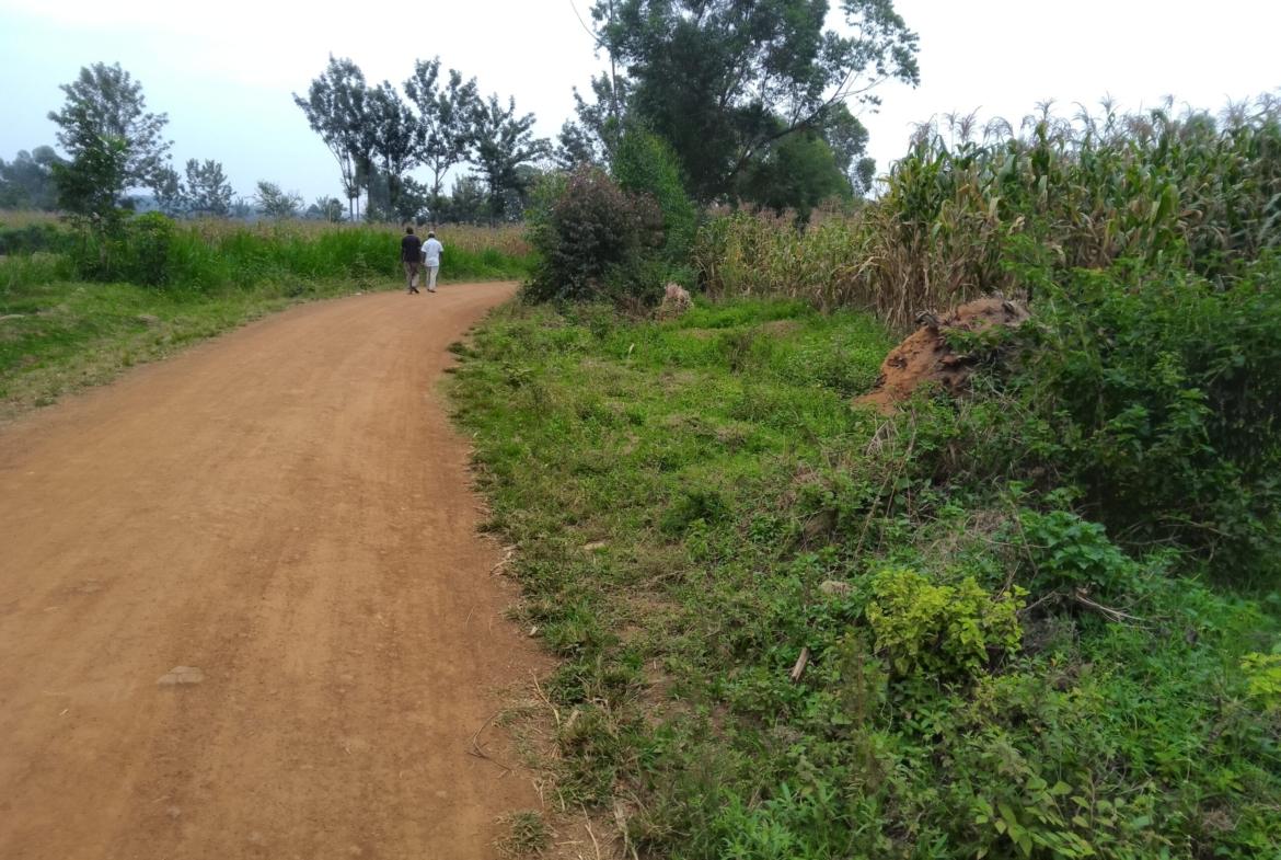 Plots for sale in Bungoma's Sikata