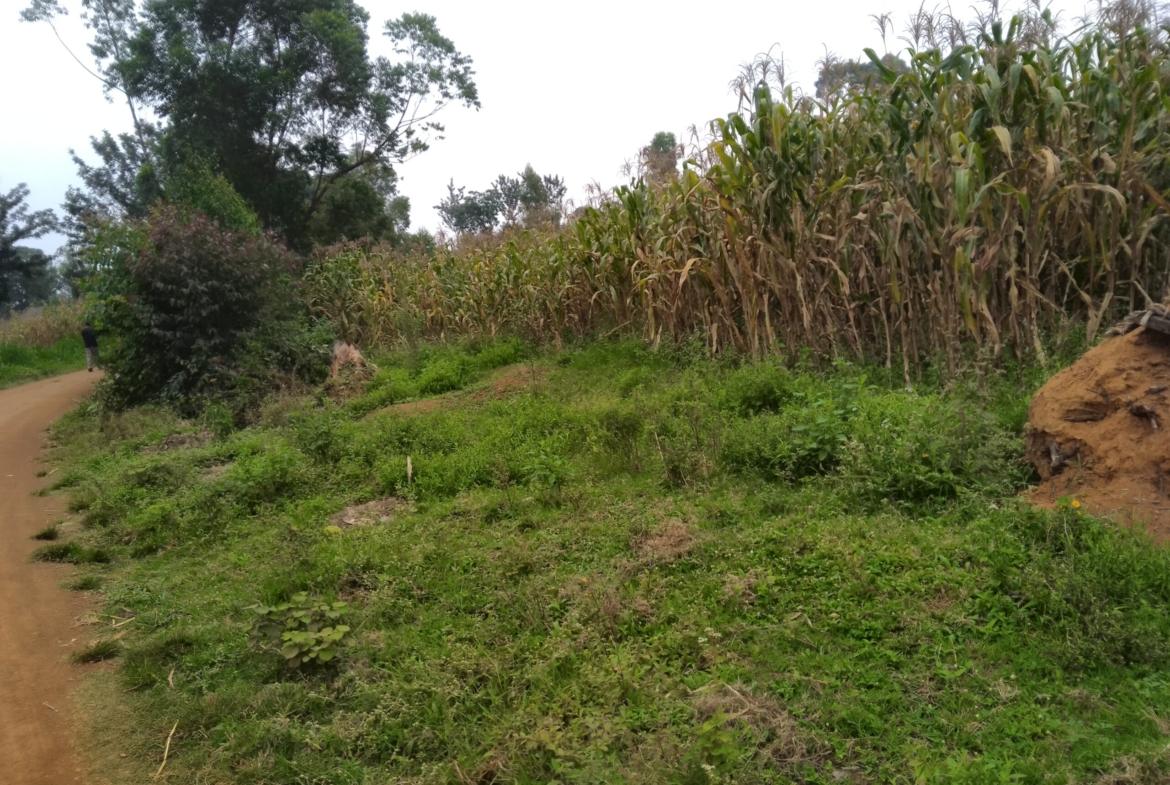 Plots for sale in Bungoma's Sikata