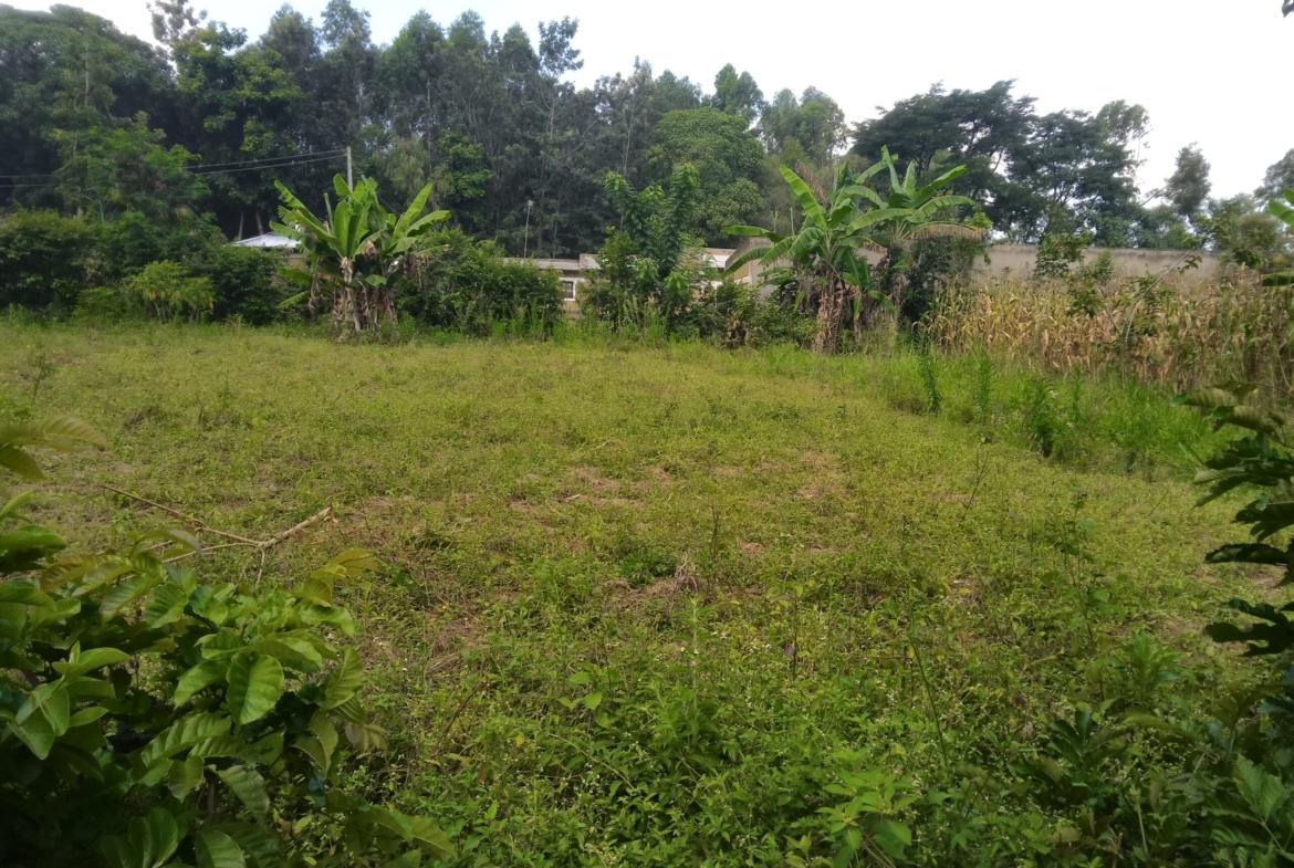 Plots for sale in Bungoma's Tuuti