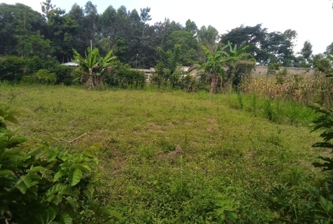 Plots for sale in Bungoma's Tuuti