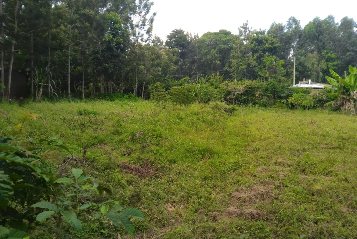 Plots for sale in Bungoma's Tuuti