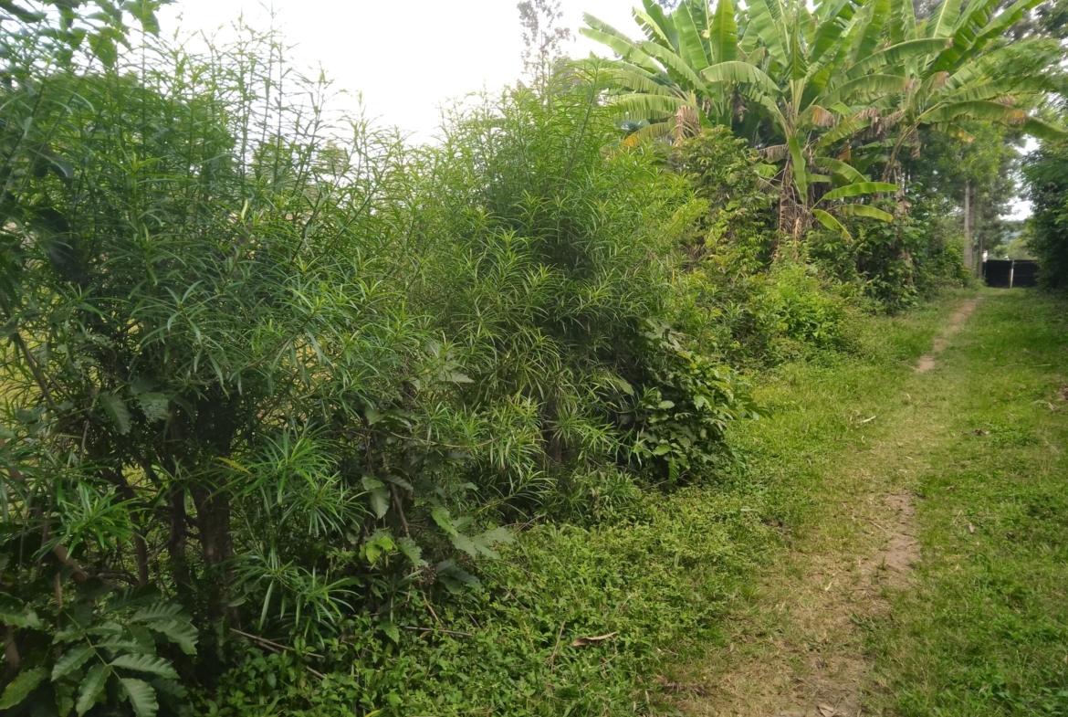 Plots for sale in Bungoma's Tuuti