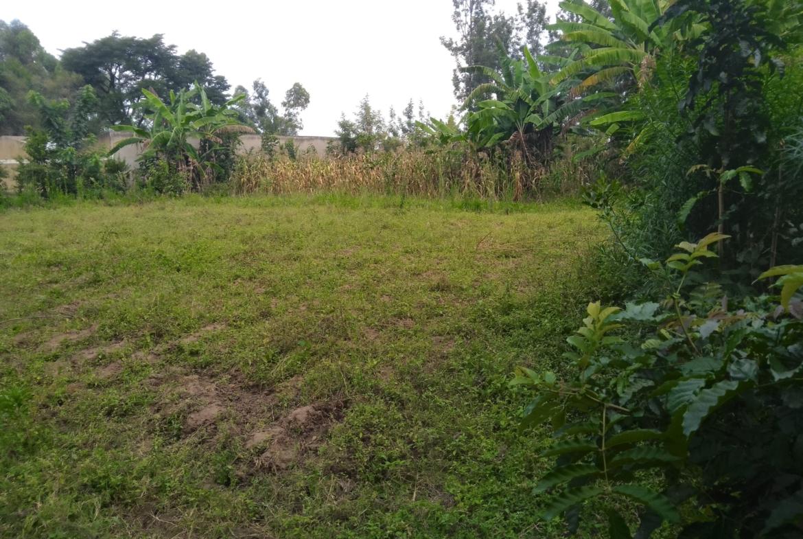Plots for sale in Bungoma's Tuuti