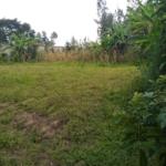 Plots for sale in Bungoma's Tuuti