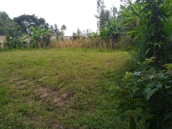 Plots for sale in Bungoma's Tuuti