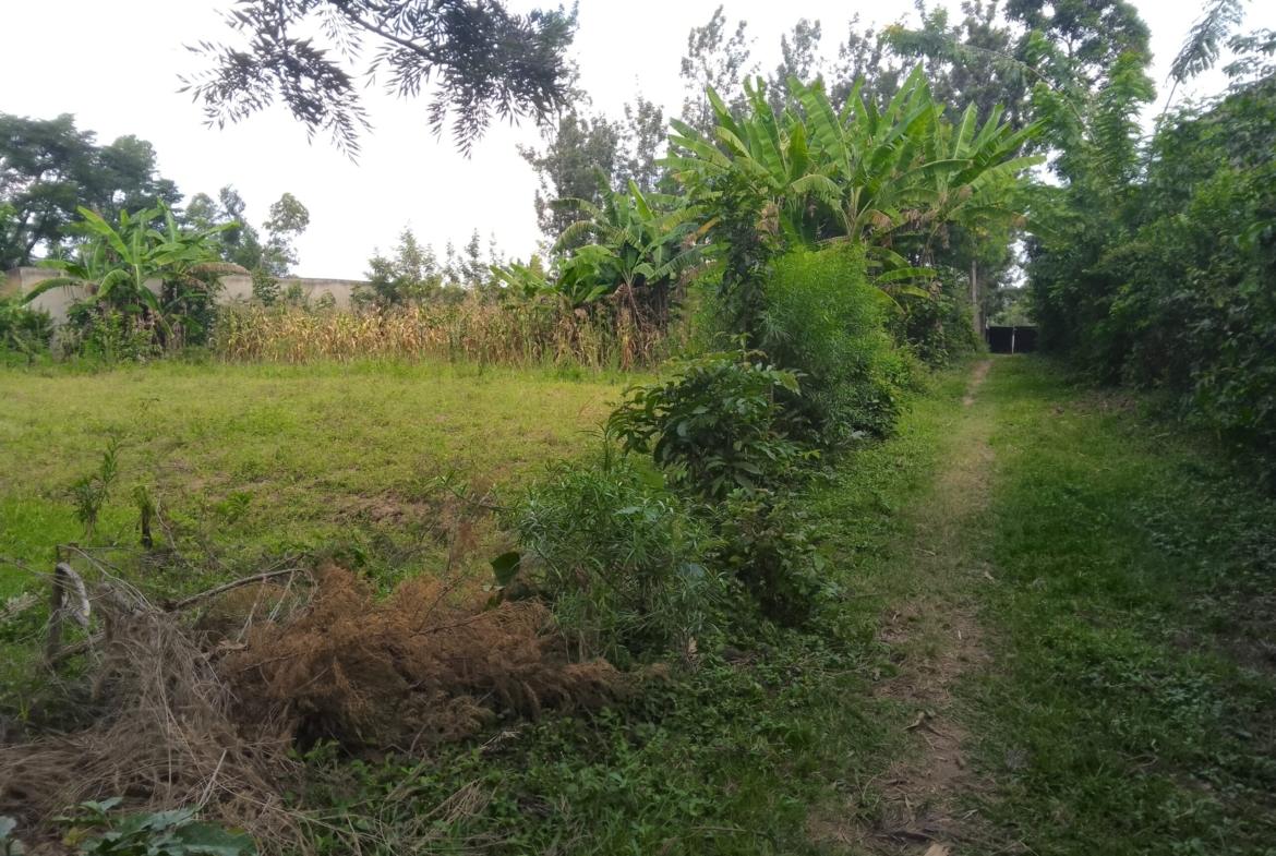 Plots for sale in Bungoma's Tuuti