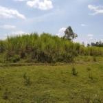 Agricultural Land for Sale at Mayanja Bungoma County