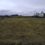 2 acres for sale in Bungoma Naitiri
