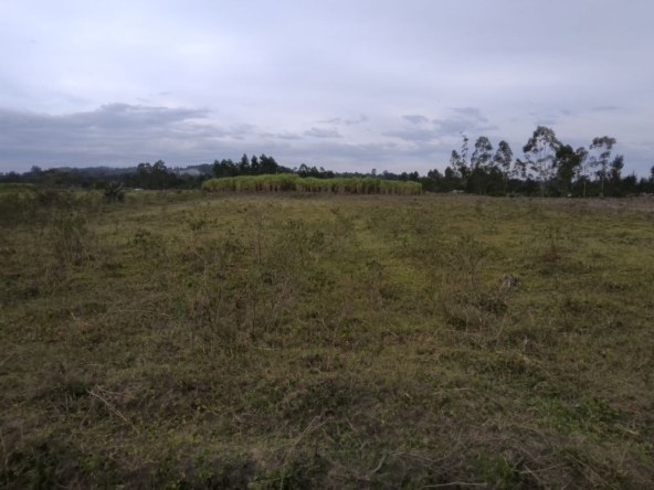 2 acres for sale in Bungoma Naitiri