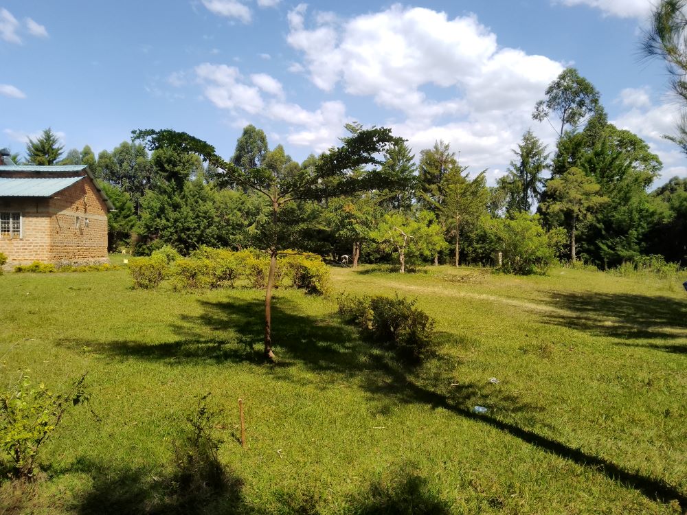 3 acres of land for sale in Bungoma Mabanga
