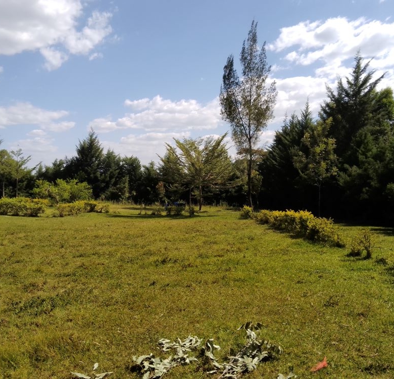 3 acres of land for sale in Bungoma Mabanga