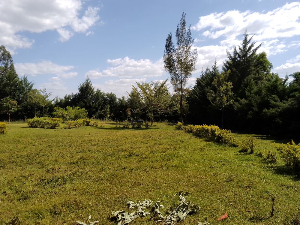 3 acres of land for sale in Bungoma Mabanga