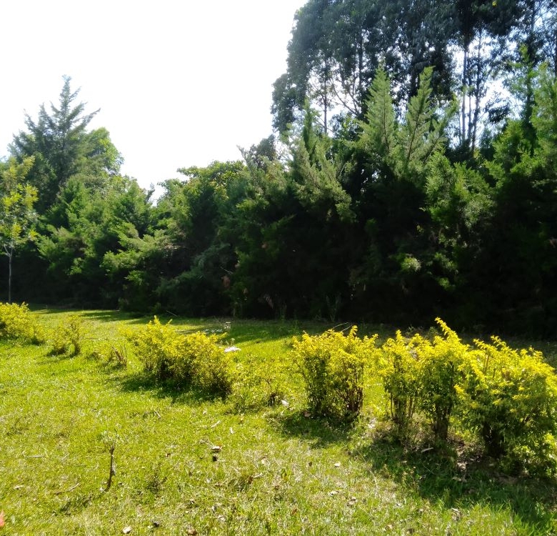 3 acres of land for sale in Bungoma Mabanga