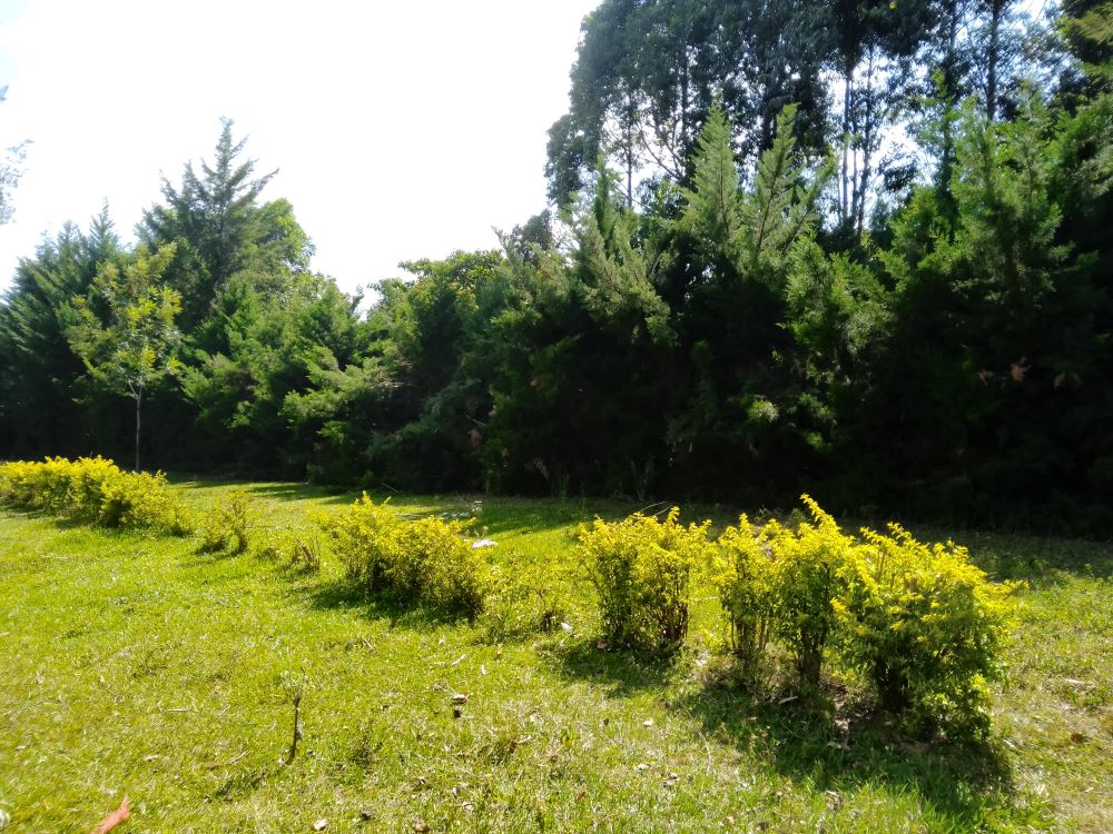 3 acres of land for sale in Bungoma Mabanga