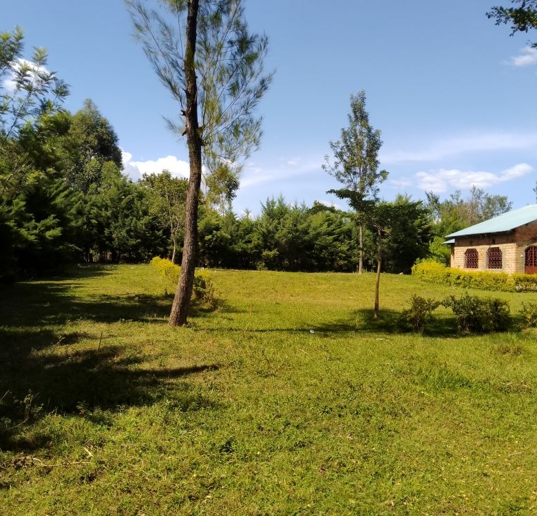 3 acres of land for sale in Bungoma Mabanga
