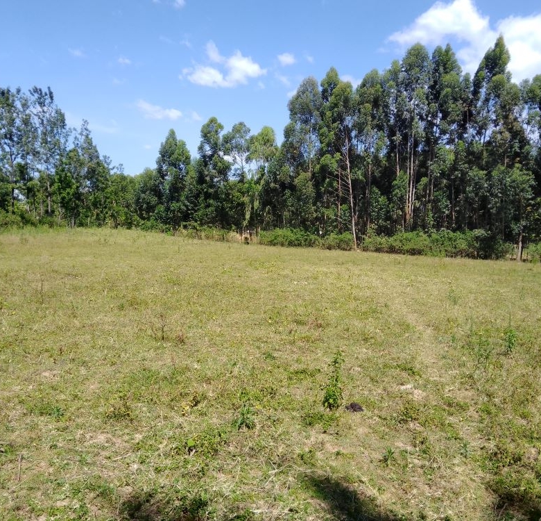 3 acres of land for sale in Bungoma Mabanga
