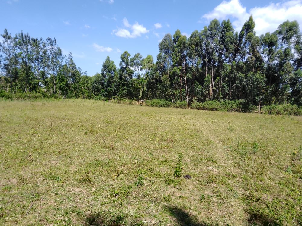 3 acres of land for sale in Bungoma Mabanga